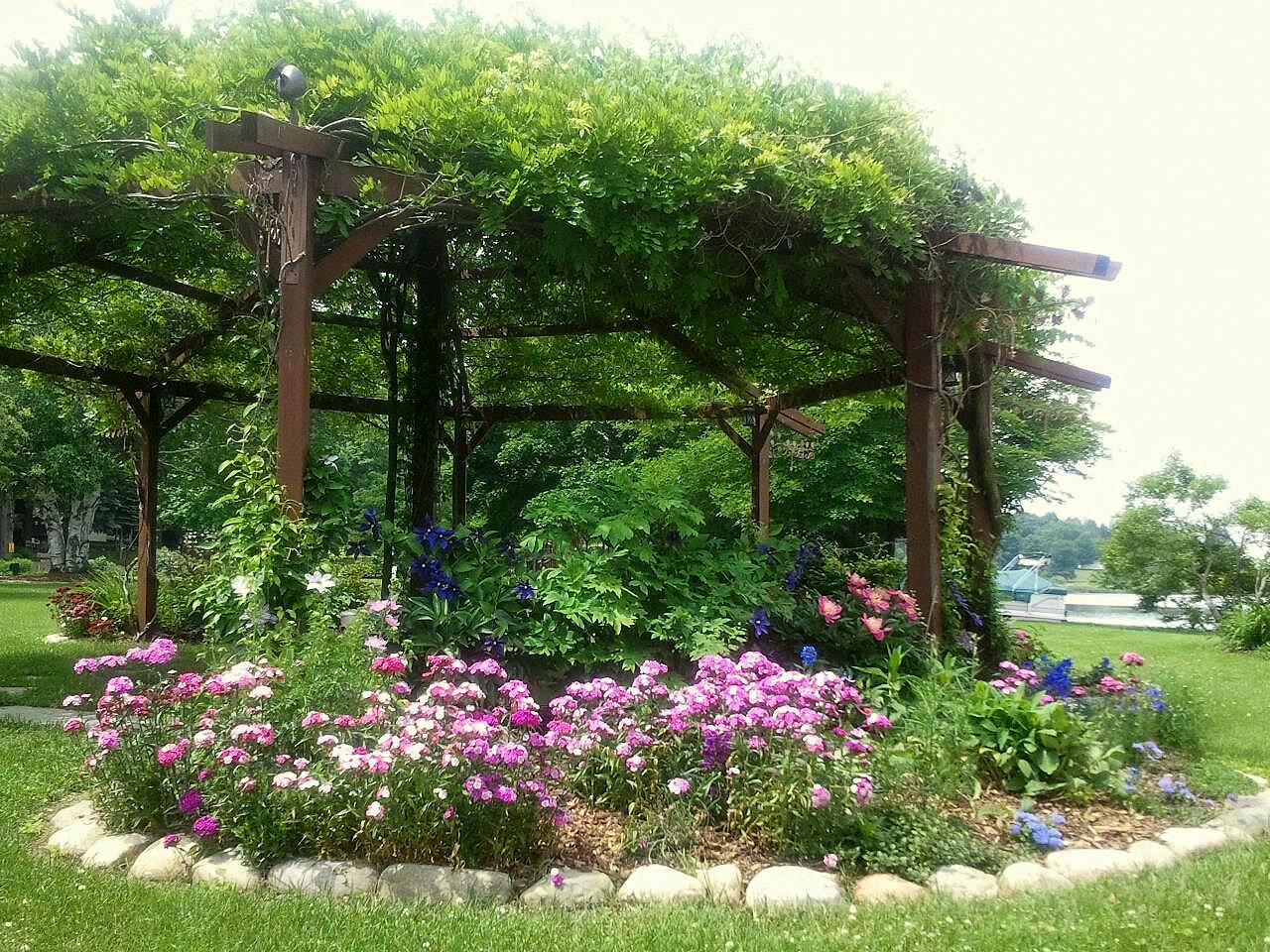 Looking up at the Flowering Gazebo